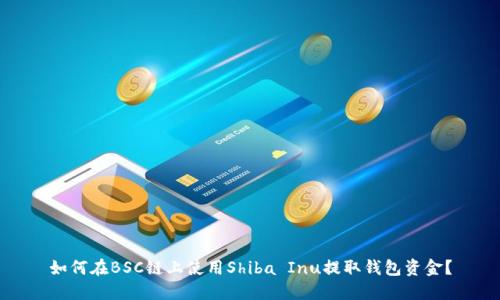 如何在BSC链上使用Shiba Inu提取钱包资金？