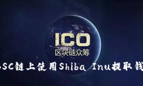 如何在BSC链上使用Shiba Inu提取钱包资金？
