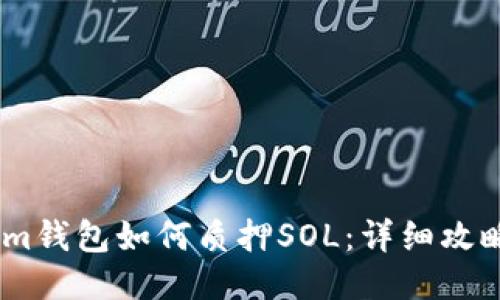 Phantom钱包如何质押SOL：详细攻略与技巧
