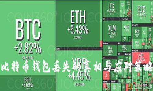 比特币钱包丢失的真相与应对策略