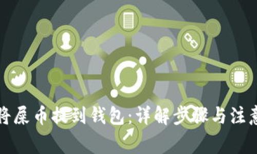 如何将屎币提到钱包：详解步骤与注意事项