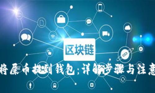 如何将屎币提到钱包：详解步骤与注意事项