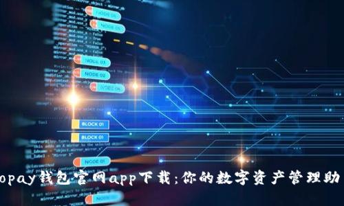 Topay钱包官网app下载：你的数字资产管理助手
