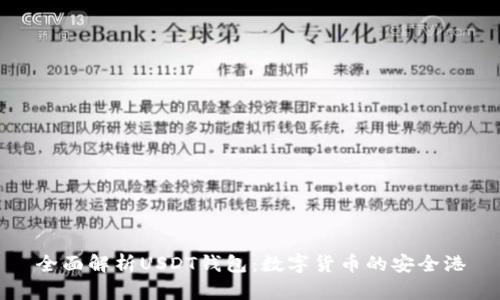 全面解析USDT钱包：数字货币的安全港