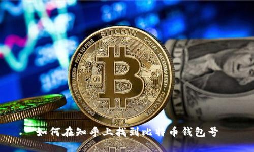 如何在知乎上找到比特币钱包号