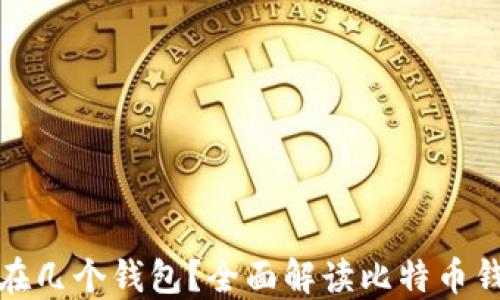 
比特币可以放在几个钱包？全面解读比特币钱包类型与选择
