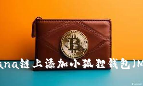 如何在Solana链上添加小狐狸钱包（MetaMask）