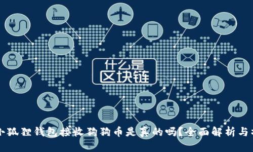 ### 小狐狸钱包接收狗狗币是真的吗？全面解析与操作指南