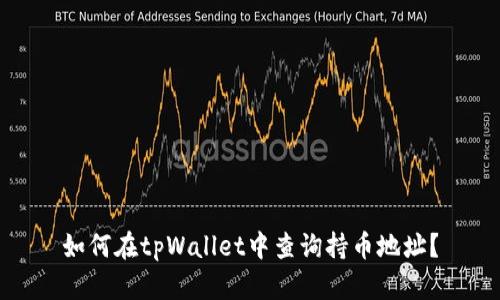 如何在tpWallet中查询持币地址？