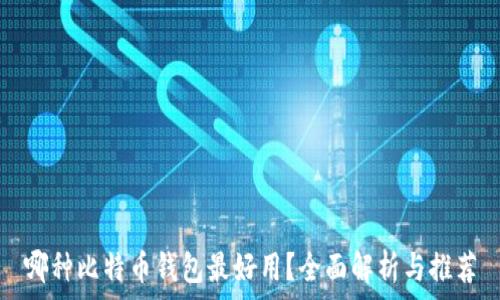   
哪种比特币钱包最好用？全面解析与推荐