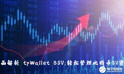 全面解析 tpWallet BSV：轻松管理比特币SV资产