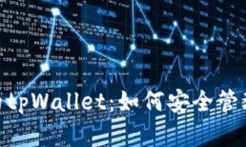 深入探讨SGB的tpWallet：如何安全管理你的加密资产