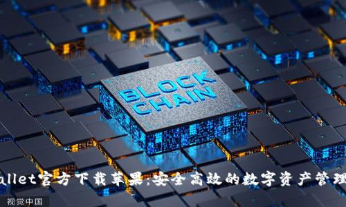 tpWallet官方下载苹果：安全高效的数字资产管理工具