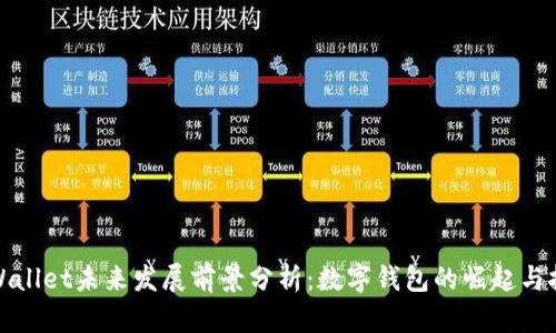 tpWallet未来发展前景分析：数字钱包的崛起与挑战