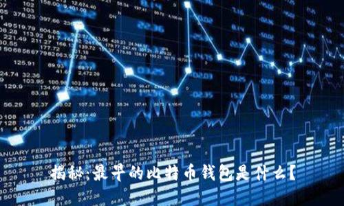 揭秘：最早的比特币钱包是什么？