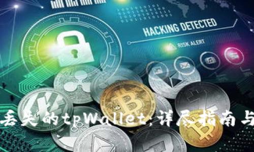 如何找回丢失的tpWallet：详尽指南与解决方案
