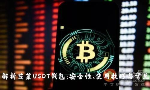 全面解析菠菜USDT钱包：安全性、使用技巧与常见问题