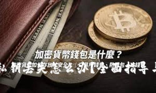 tpWallet私钥丢失怎么办？全面指导与解决方案