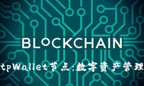 全面解析tpWallet节点：数字资产管理的新选择
