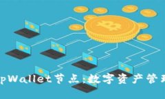 全面解析tpWallet节点：数字