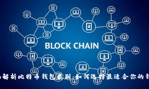全面解析比特币钱包类别：如何选择最适合你的钱包？