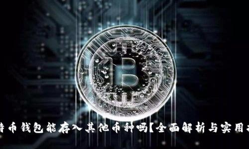 比特币钱包能存入其他币种吗？全面解析与实用指南