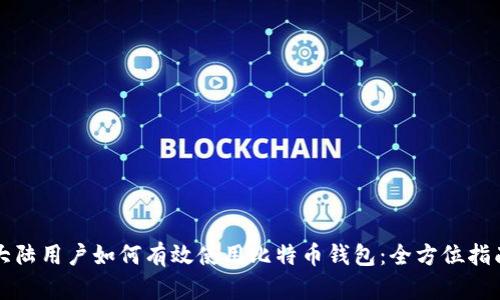 大陆用户如何有效使用比特币钱包：全方位指南