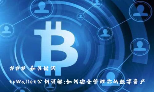 ### 和关键词

tpWallet公钥详解：如何安全管理你的数字资产