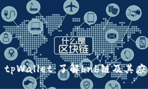 ### tpWallet：了解bnb链及其应用场景