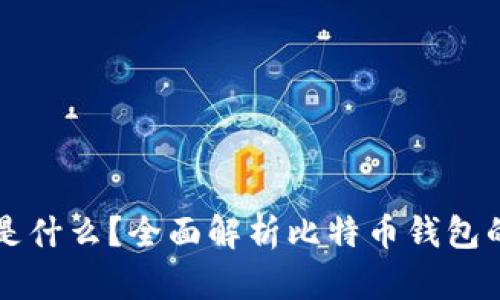 比特币钱包是什么？全面解析比特币钱包的功能与类型