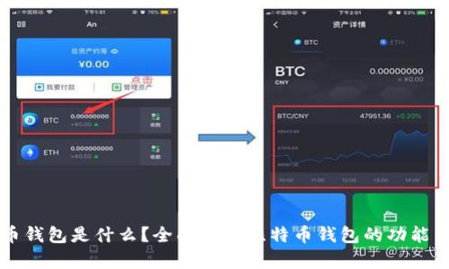 比特币钱包是什么？全面解析比特币钱包的功能与类型