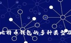 : 了解比特币钱包的多种类