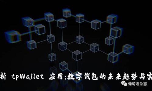 全面解析 tpWallet 应用：数字钱包的未来趋势与实用指南