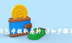 如何在狗狗币钱包中提取