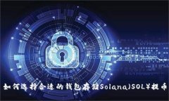 如何选择合适的钱包存储