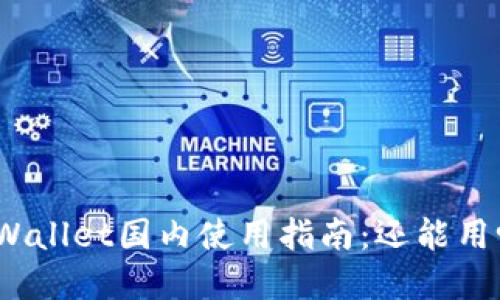 tpWallet国内使用指南：还能用吗？