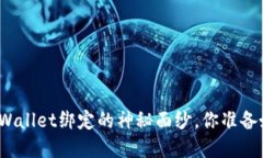 揭开tpWallet绑定的神秘面纱，你准备好了吗？