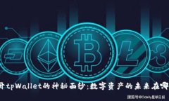 揭开tpWallet的神秘面纱：数字资产的未来在哪里？