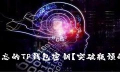 如何找回遗忘的TP钱包密钥？突破瓶颈的终极秘籍