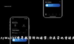 在tpWallet中寻找薄饼的迷雾：你是否也曾迷失？