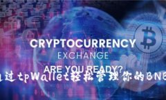 如何通过tpWallet轻松管理你的BNB资产？