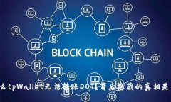 为什么tpWallet无法转账DOT？背后隐藏的真相是什么