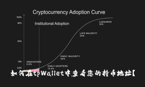 如何在tpWallet中查看您的持币地址？