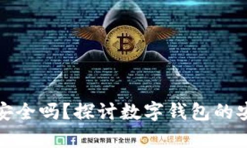 tpWallet的授权安全吗？探讨数字钱包的安全性与防护措施