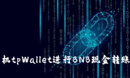如何使用手机tpWallet进行BNB现金转账的详细指南