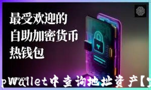 
如何在tpWallet中查询地址资产？完整指南