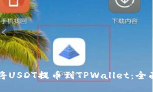 如何将USDT提币到TPWallet：全面指南